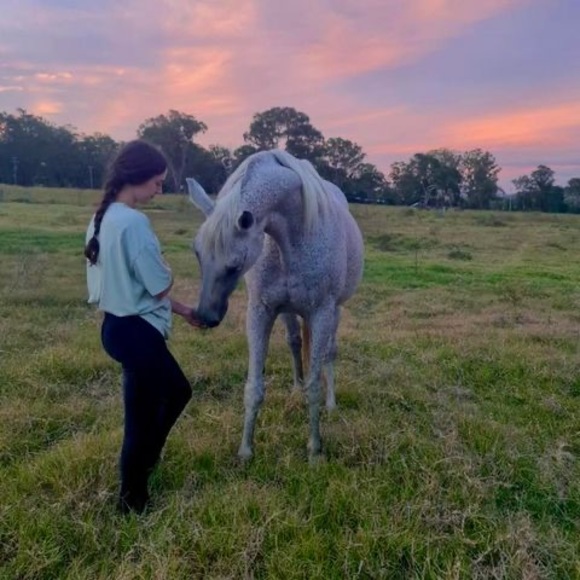 Meet your Posher, Georgia-taylor - Picture 1 of 1